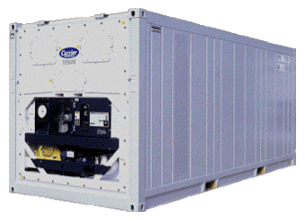 20ft 40ft Reefer Container - Import Export Containers Rif BV - Rotterdam Int Forwarding - Forwarder - Special Service - Customers
